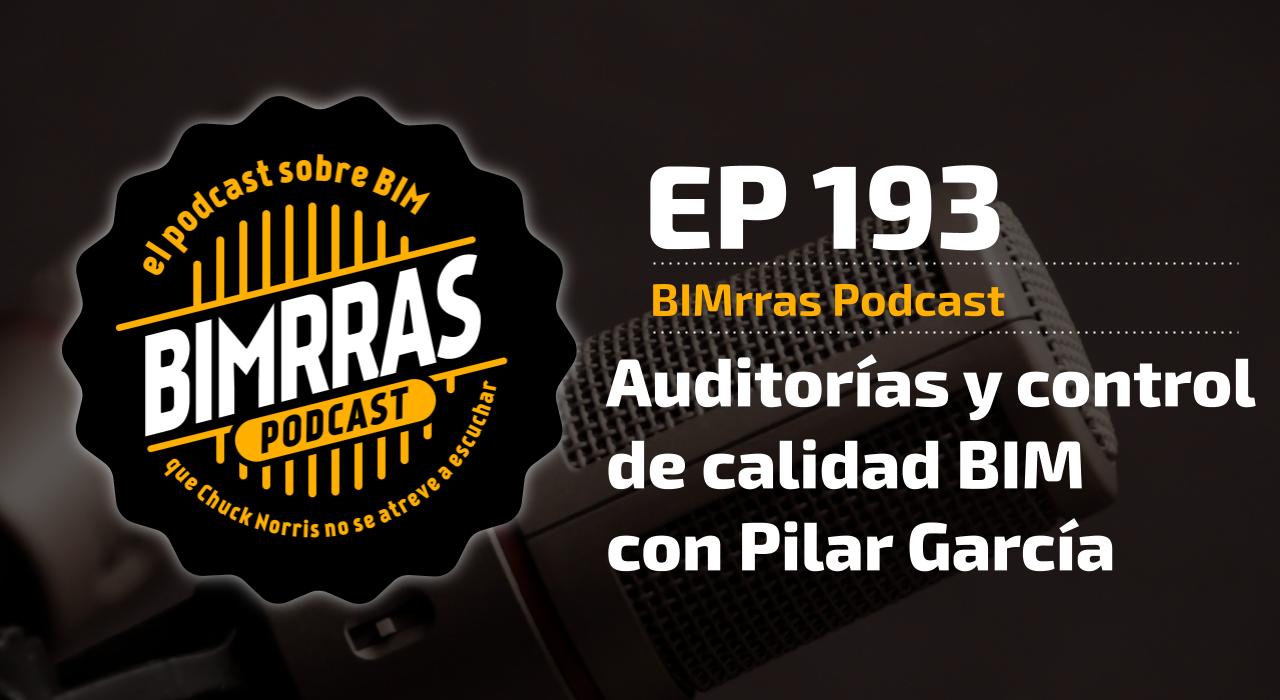 Carátula episodio 1993 Auditorías y control de calidad BIM